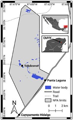 Multiple Resource Use Strategies and Resilience of a Socio-Ecosystem in a Natural Protected Area in the Yucatan Peninsula, Mexico